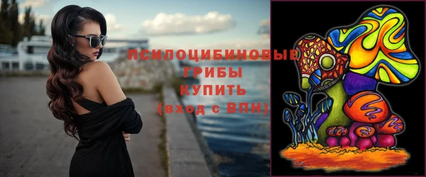 винт Лабытнанги