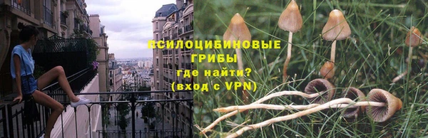 марки nbome Алексеевка