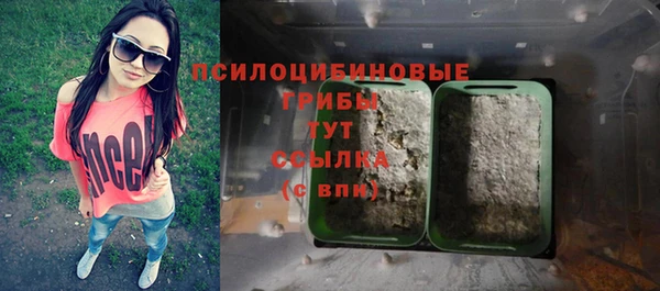 стафф Ладушкин